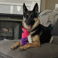 Anna (@rnrighthere) 's Twitter Profile