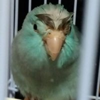 メロ💕 (@yukina20210617) 's Twitter Profile