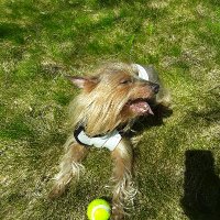 Hammerdgramma (@hammerdgramma) 's Twitter Profile