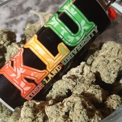 We keep Stoners fly and Informed on all the latest  Stoners Trends and Products. #KushLandUniversity  #420friendly