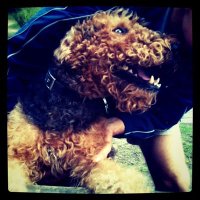 Podróżnik 🇵🇱 🌲🐕🦺 (@miejscowy8) 's Twitter Profile