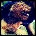 Podróżnik 🇵🇱 🌲🐕🦺 (@miejscowy8) Twitter profile photo Podróżnik 🇵🇱 🌲🐕🦺 (@miejscowy8) Twitter profile photo