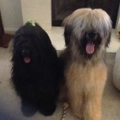 MikeMou30990906's profile picture. American Patriot, Constitutional Conservative, Viet Nam Vet, Ultra MAGA.....not interested in anything to do with Crypto.