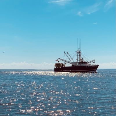 FernetBranca14's profile picture. Obsessed with The New York Football Giants and fishing. Staunch defender of Long Island. I don’t post much, I prefer to listen.