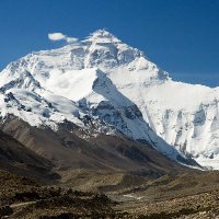 Nickk (@radha29452605) 's Twitter Profile