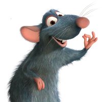 Remy Cook (@remycook4) 's Twitter Profile