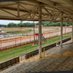 Selinsgrove Speedway (@wideandfast) Twitter profile photo Selinsgrove Speedway (@wideandfast) Twitter profile photo