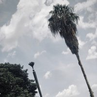 Ghost (@ghost_vlone7) 's Twitter Profile