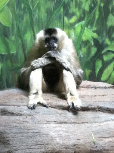 profdetox's profile picture. 