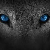 ppraveen2023's profile picture. #Startups #DAO #NFT