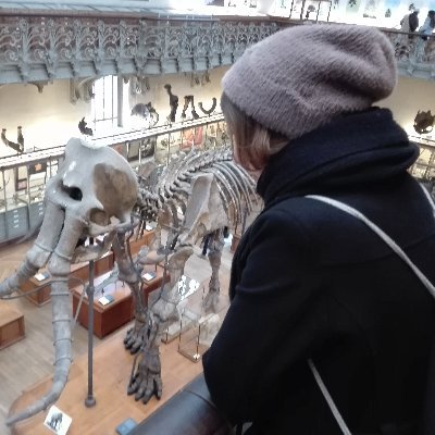 PhD student at @MfNBerlin working on the vomeronasal system of mammals