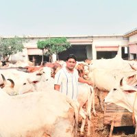 GAURAKSHAK ARUN PATEL (@gaurakshakarun) 's Twitter Profile