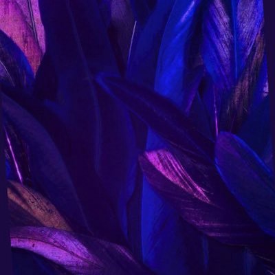 dolapo50's profile picture. MUSLIM ,MUSIC🥳,WIZKIDFC🤫/LIVERPOOL🤭