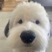 bwurtt (@bwurtt) 's Twitter Profile Photo bwurtt (@bwurtt) 's Twitter Profile Photo