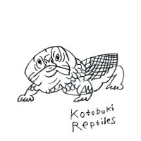 Kotobuki Reptiles(@BukiReptiles) 's Twitter Profile Photo