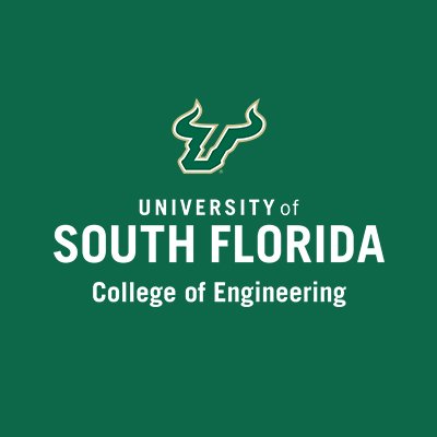 Engineering USF Profile