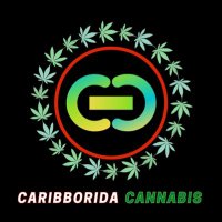 Caribborida Cannabis(@liftedpalate420) 's Twitter Profile Photo