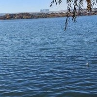 Atila (@kantarka) Twitter profile photo