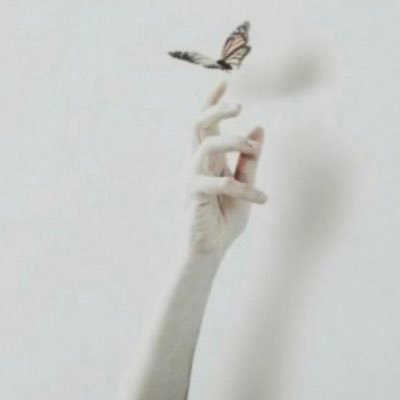 n_3zozy's profile picture. 