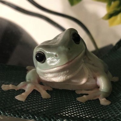 Senna22lol's profile picture. 18, all pronouns💗