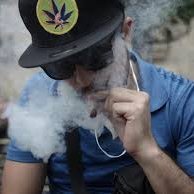 JalilKeyvan's profile picture. 