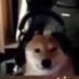 dobby (@destinydooby) Twitter profile photo dobby (@destinydooby) Twitter profile photo