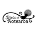 Birds of Aotearoa (@birds_aotearoa) Twitter profile photo Birds of Aotearoa (@birds_aotearoa) Twitter profile photo