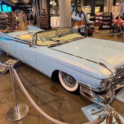 AlexandruCohen's profile picture. 