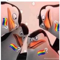 ZONA GAY VIP (@zonaygay) 's Twitter Profile