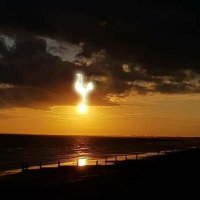 Marius Hansen (@penguins356) Twitter profile photo
