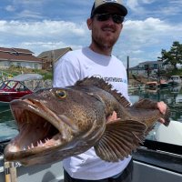 Michael Koenen (@michaelkoenen9) 's Twitter Profile