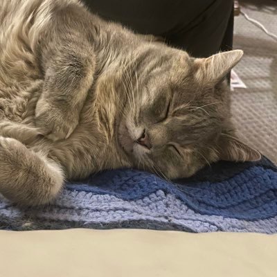 umbrellaboss's profile picture. If it ain’t woke, don’t fix it!