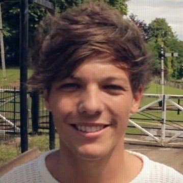 SUNFL0WERLOUS's profile picture. harry styles, louis tomlinson, taylor swift lover !!!