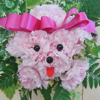 A_levi159's profile picture. 2018.5〜🥊（🎪⇒VIP ）👽&😎&ｹﾝﾃｨ💕 😇 脱ボクササイズ