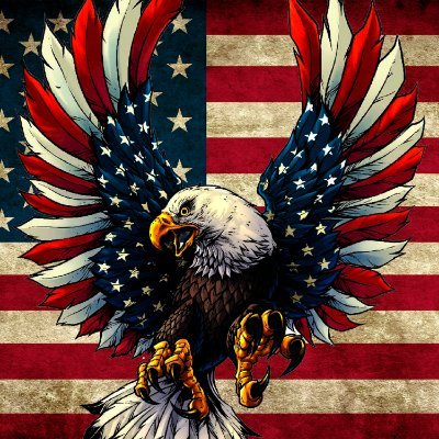 merchforliberty Profile Picture