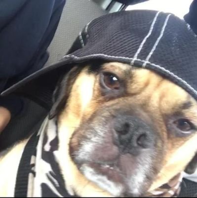 richjh729's profile picture. #thegreatresist