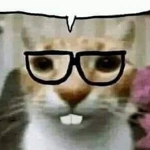 Gato nerd de oculos