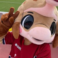 chiiwo22 (@love_chiio) Twitter profile photo