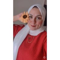 Dina M. El-Refy(@DinaElRefy) 's Twitter Profile Photo