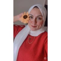 Dina M. El-Refy (@dinaelrefy) 's Twitter Profile