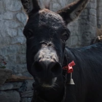 NycSulli's profile picture. Here for the coffee and donuts. allez les rouges…….