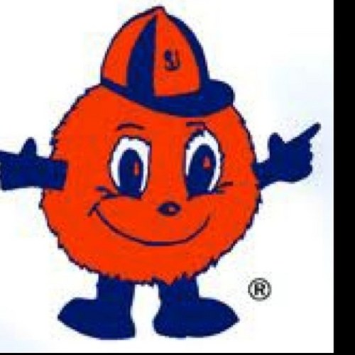 camgnyc's profile picture. Professional ghostwriter.