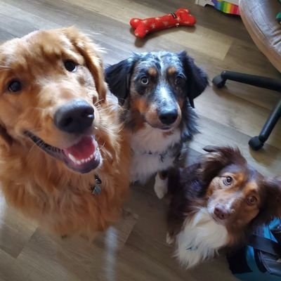 missfafo21's profile picture. 