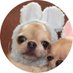 selma (@selmagb_) Twitter profile photo selma (@selmagb_) Twitter profile photo