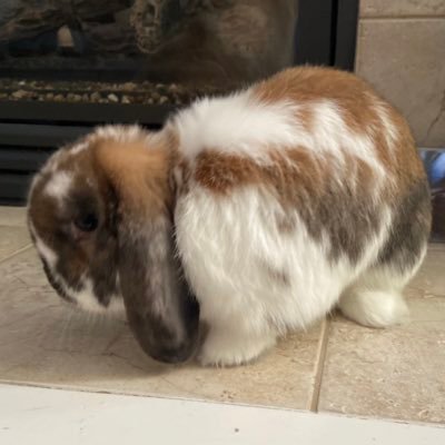 anagent75's profile picture. 