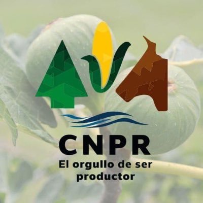 Una organización de productores para productores, interesados en tu desarrollo social y económico. #ElOrgulloDeSerProductor