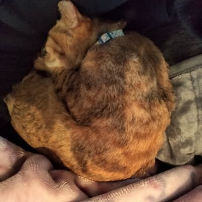 B125k00gp2bYKae's profile picture. 