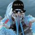 Travis (@travn0rt) Twitter profile photo Travis (@travn0rt) Twitter profile photo