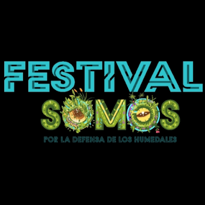 festivalsomos Profile Picture