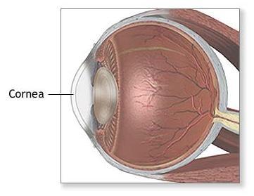 LasikEyeCare's profile picture. Lasik, Lasik Eye Surgery, Lasik Surgery Cost
